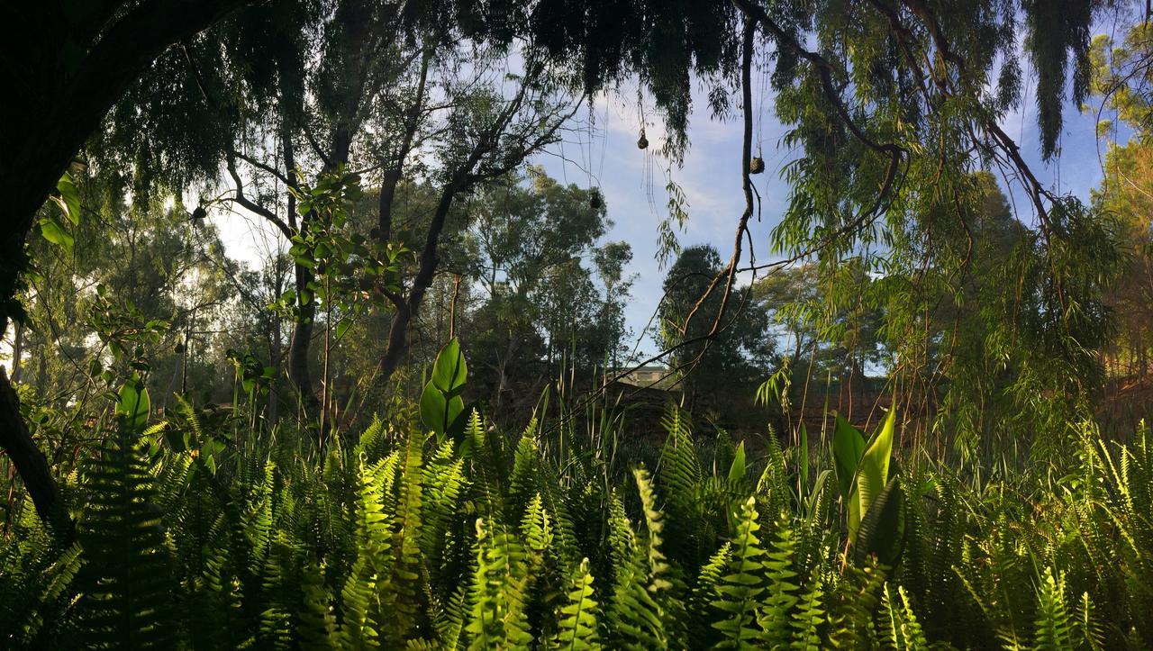 Rain Forest Boutique Camp Krugersdorp Exterior foto